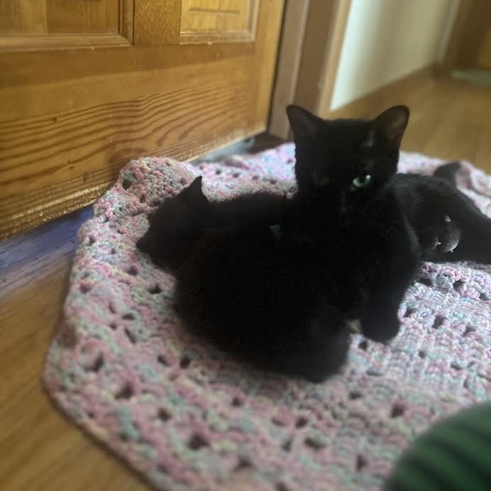 Salem