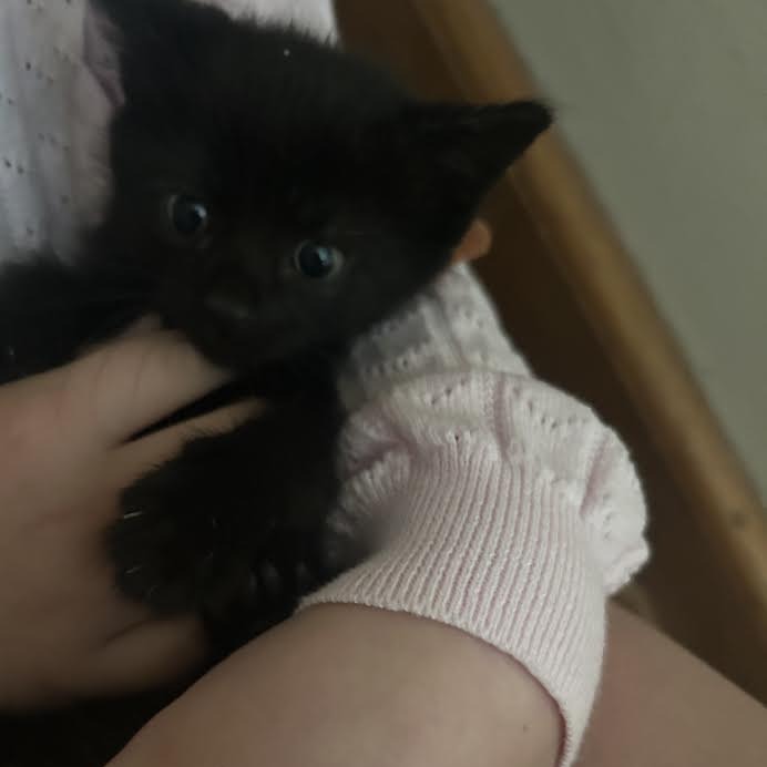 Salem