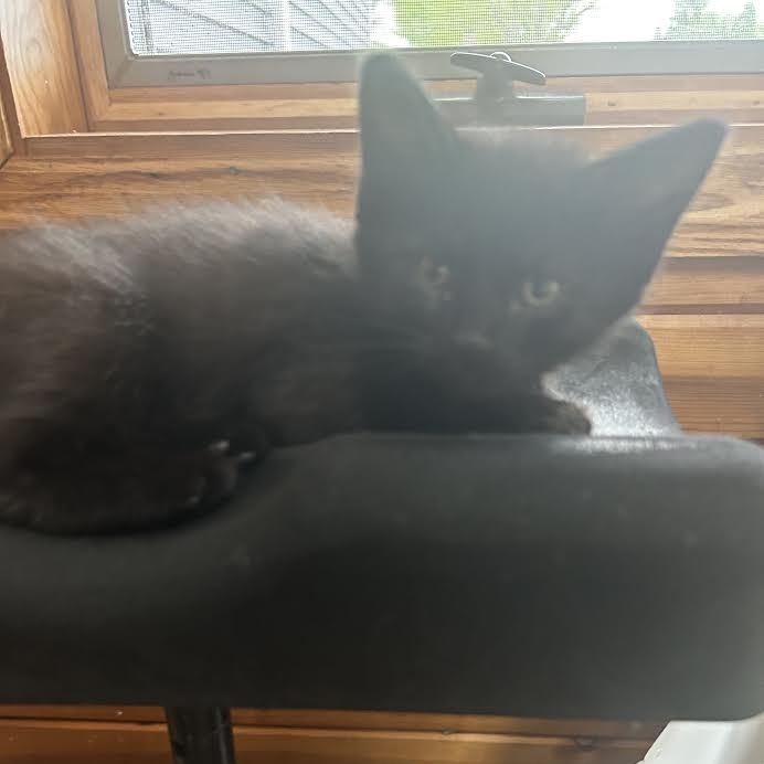 Salem