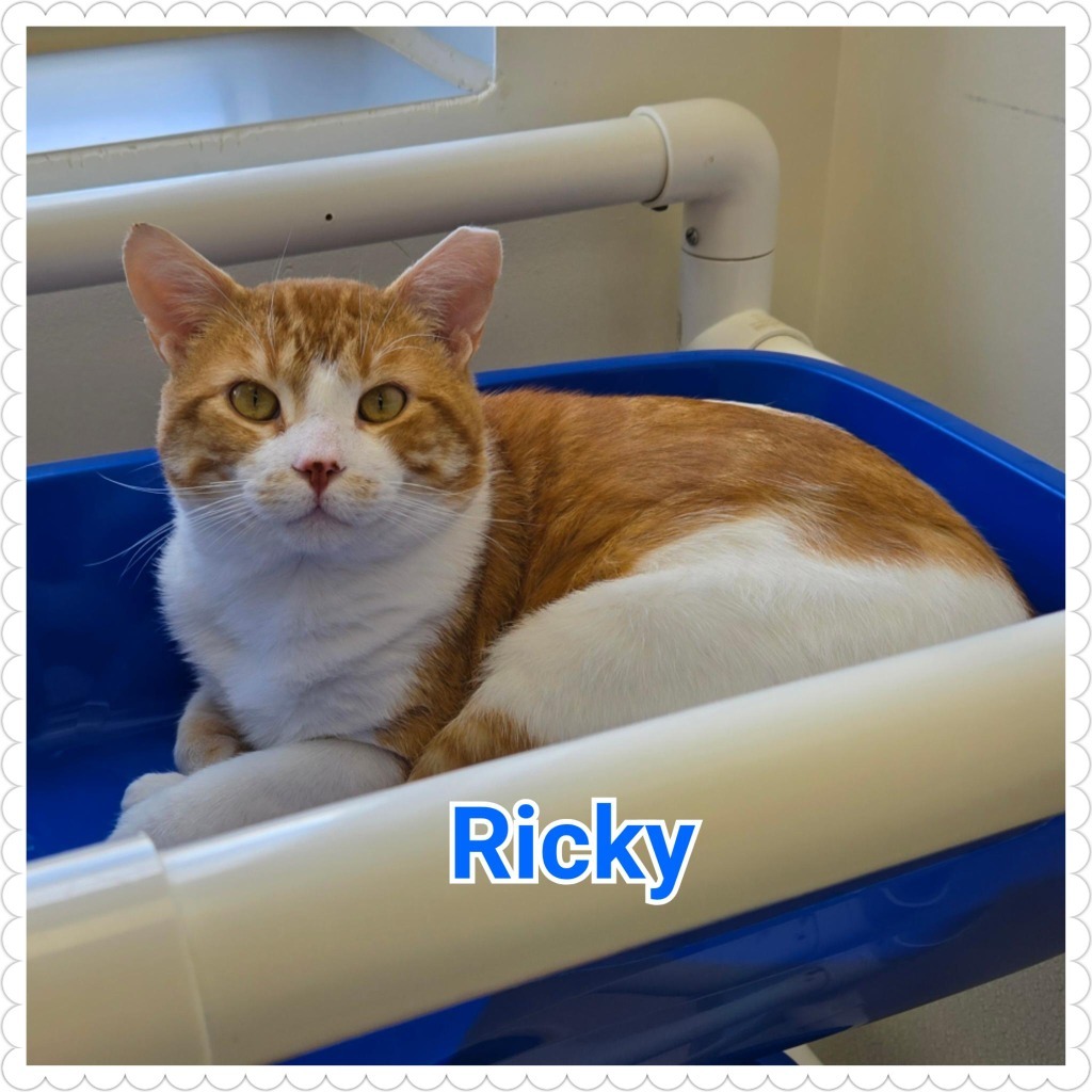 Ricky
