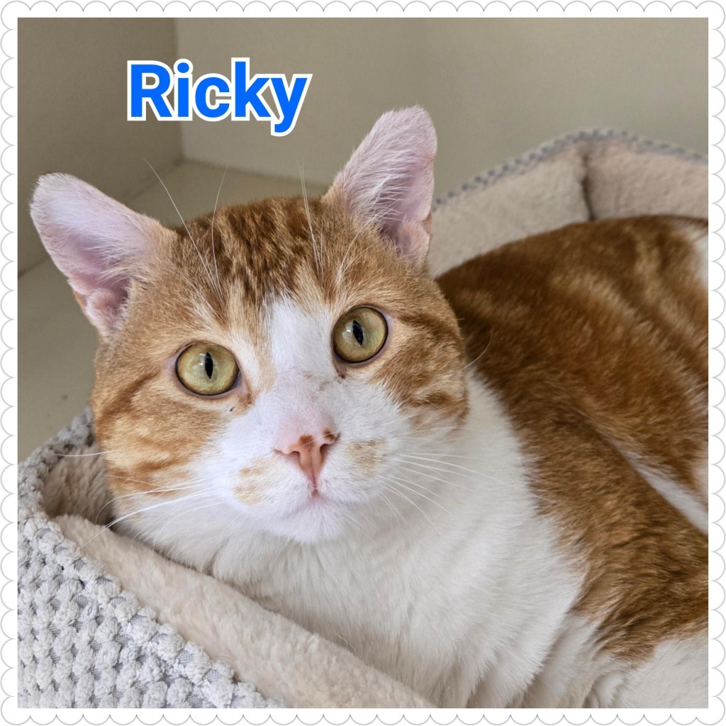Ricky