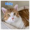Ricky photo 2