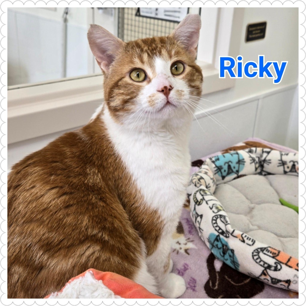 Ricky