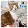 Ricky photo 3