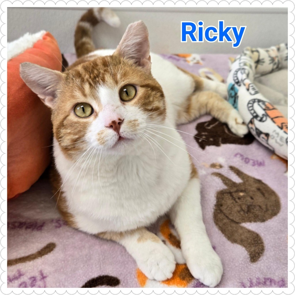 Ricky