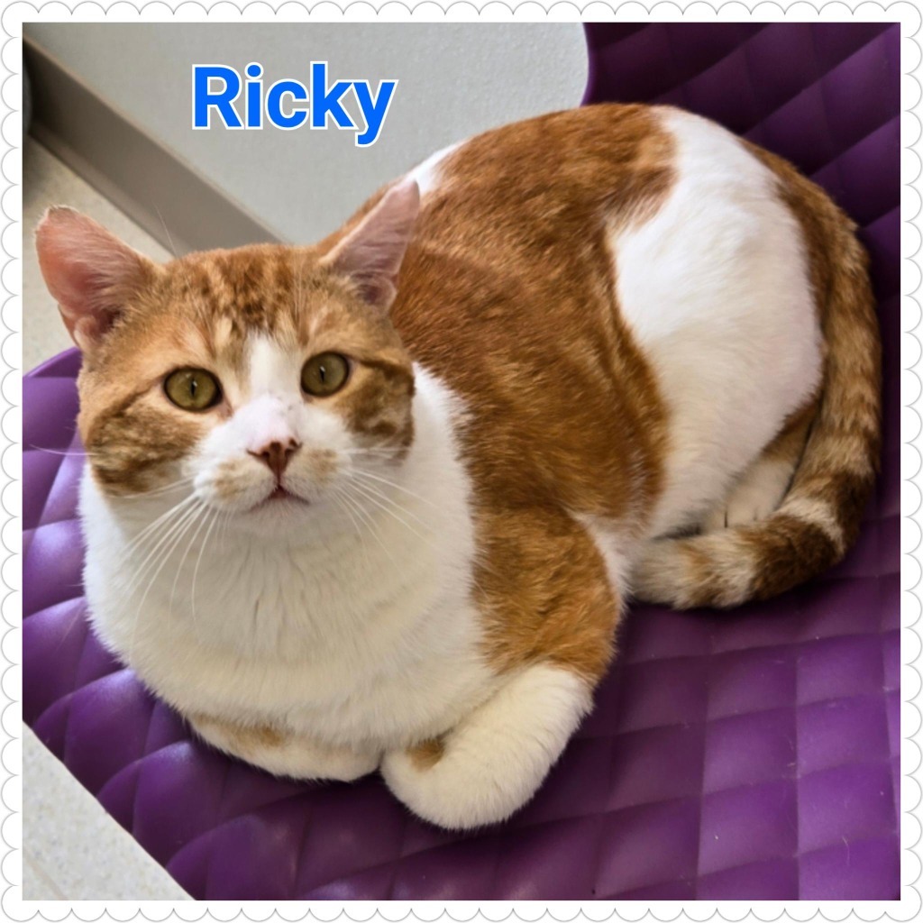 Ricky