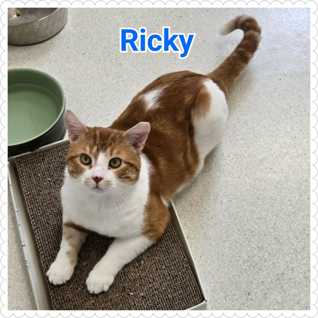 Ricky