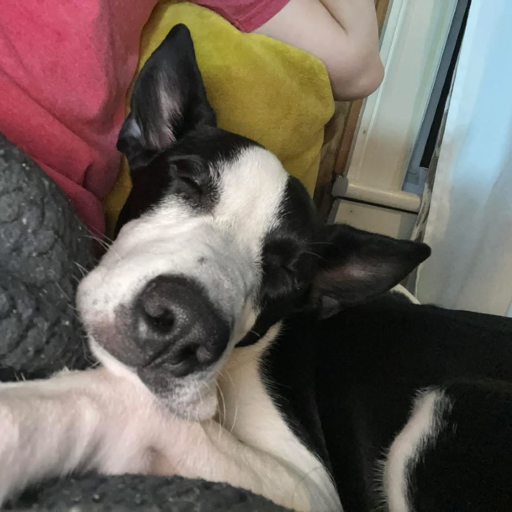 Marley