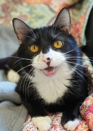 Zion was rescued from a heartbreaking neglect case but youd never know it from his loving and play