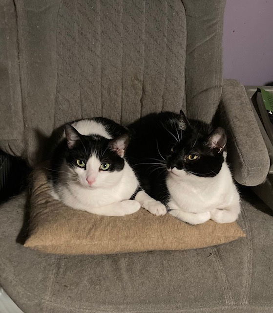 Mervin bonded with Mindy