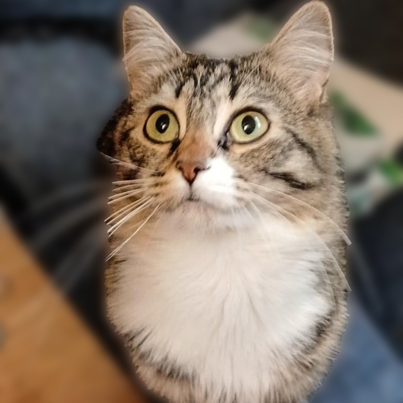 Winky
