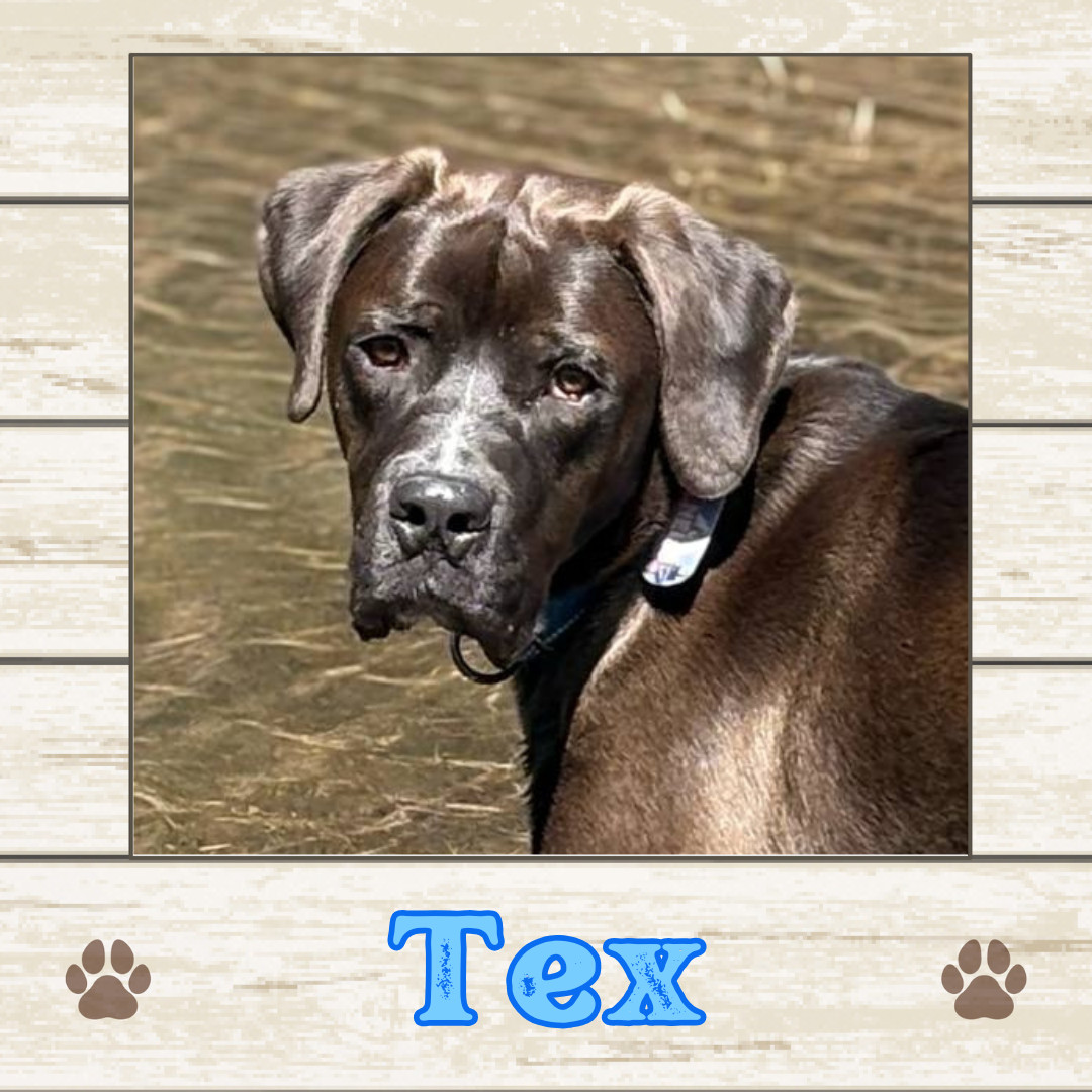 Tex
