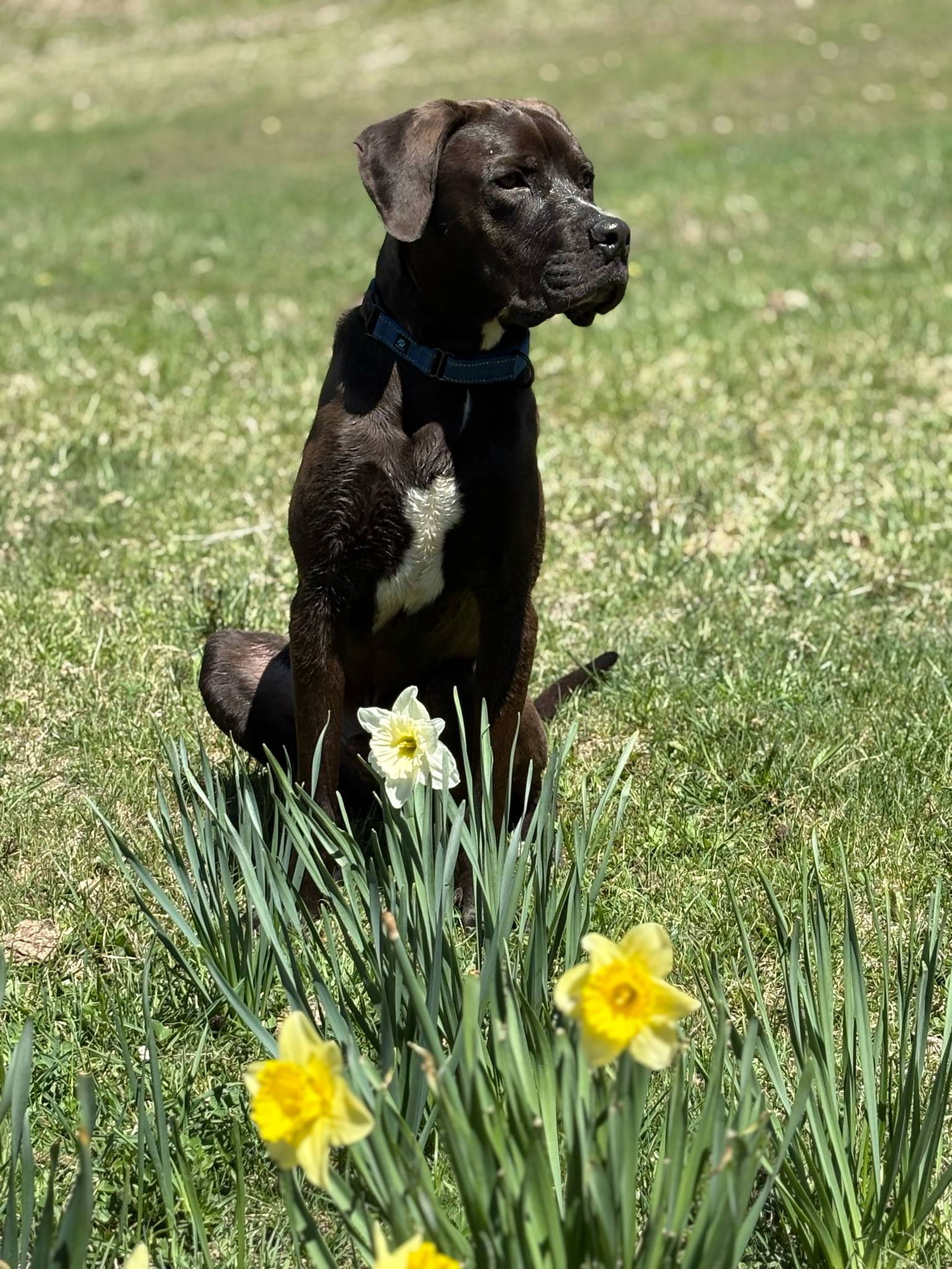 Tex