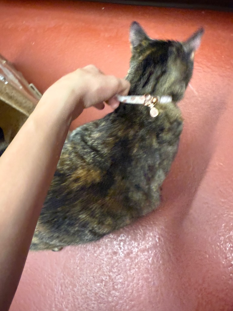 Lulu
