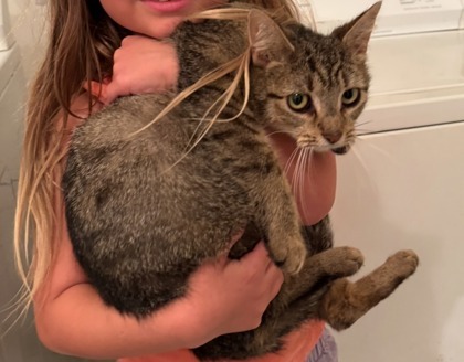 Little Momma Spice 2