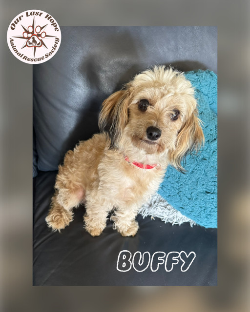 Buffy
