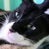 Tex photo 4