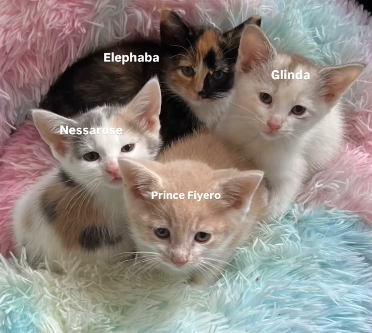 Glinda