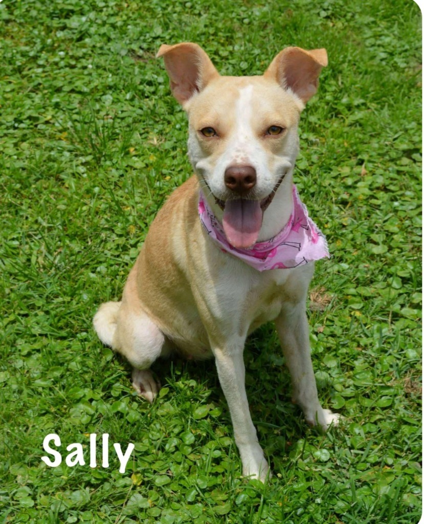 Sally