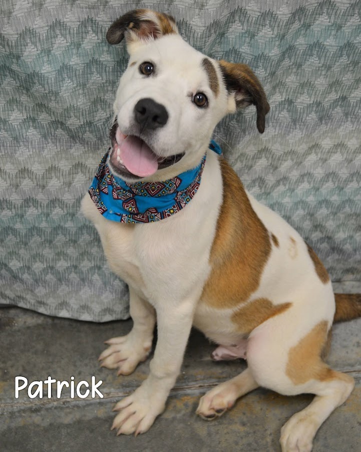 Patrick