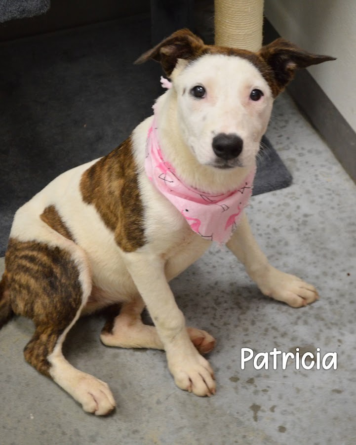 Patricia