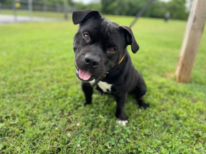 Zuko 1