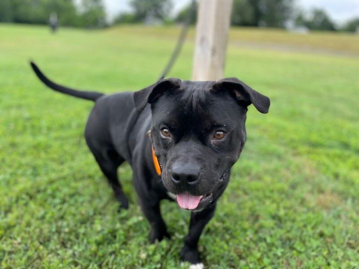 Zuko 2