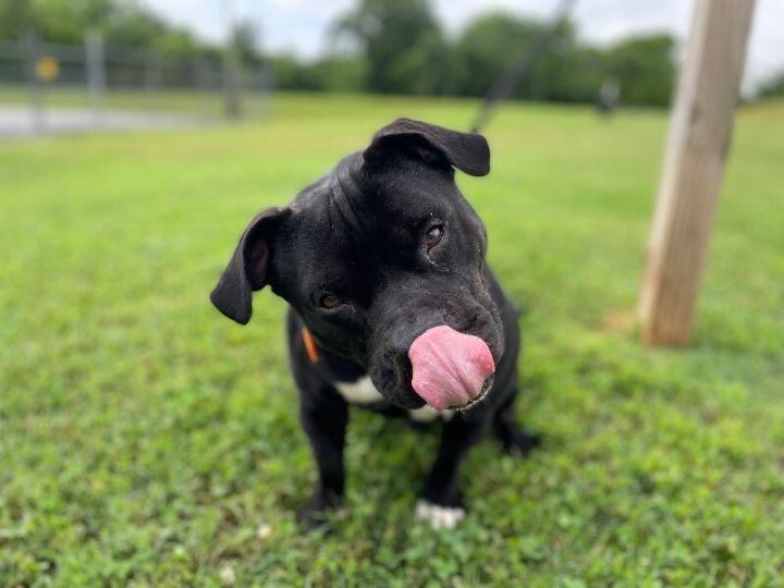 Zuko 3