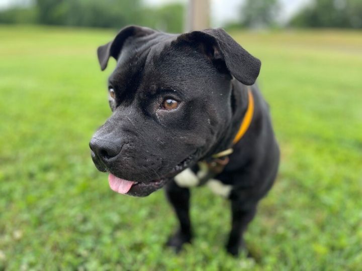 Zuko 4