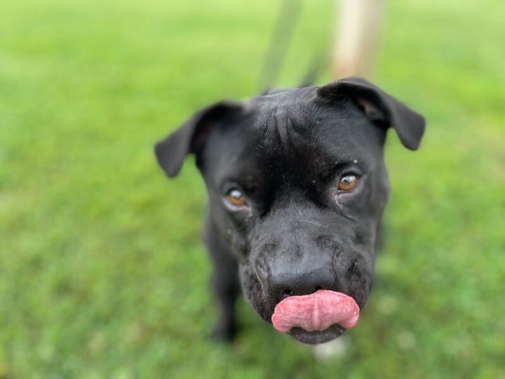 Zuko 5