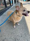 Jilly photo 2