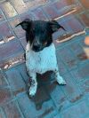 Sammy photo 3
