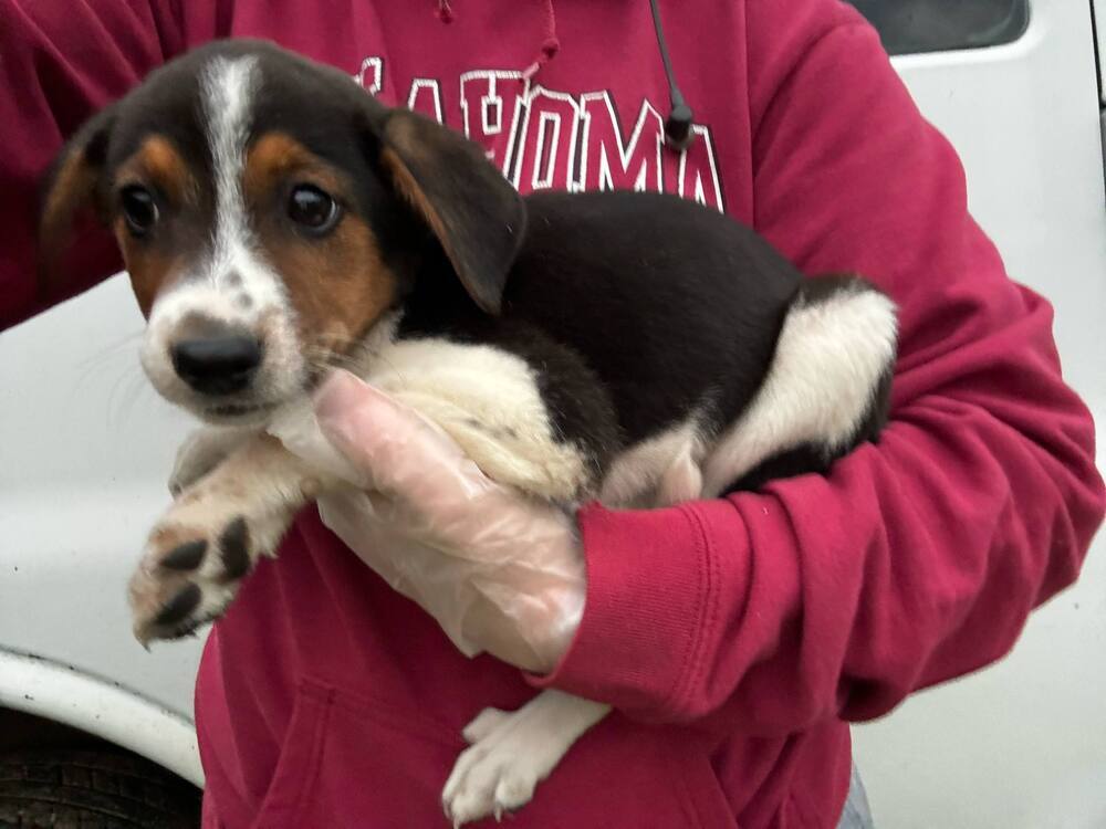 Winnie
