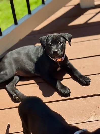 Athena