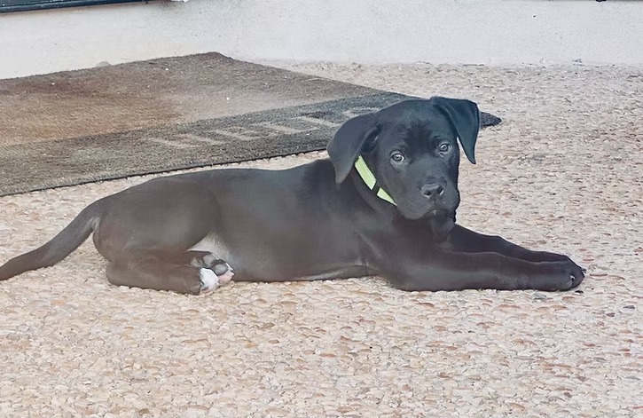 Zeus