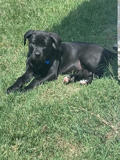 Zeus