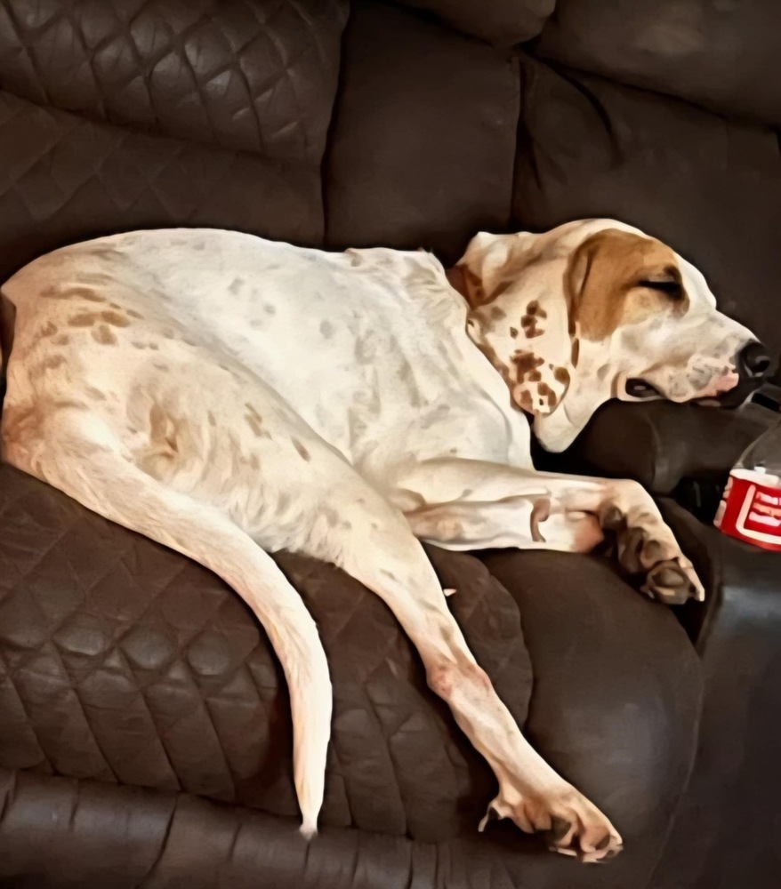 Sadie