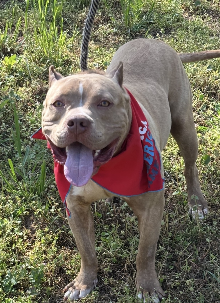 Clyde - brother to Bonnie