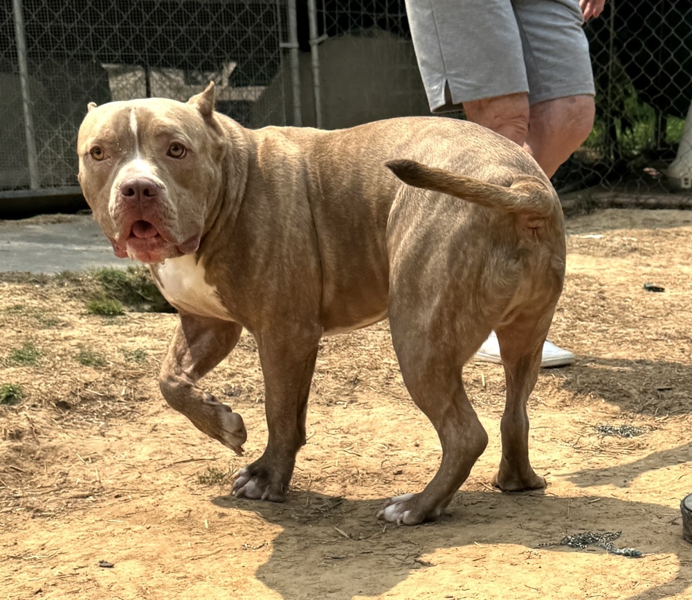 Clyde - brother to Bonnie