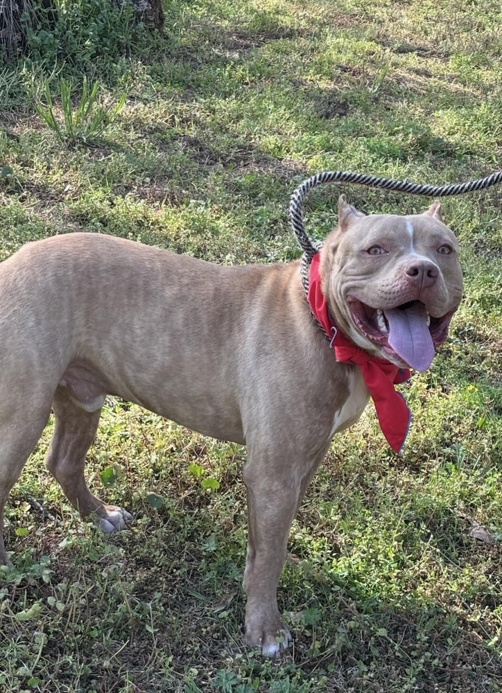 Clyde - brother to Bonnie