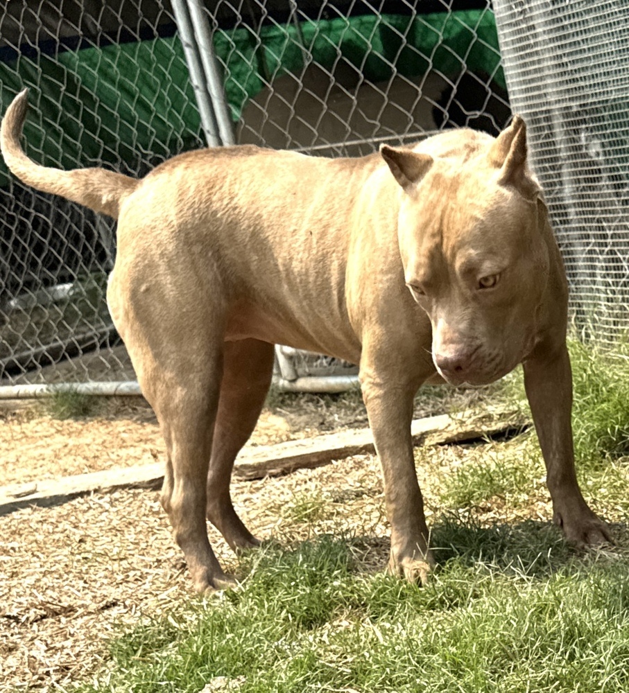 Bonnie - sister to Clyde