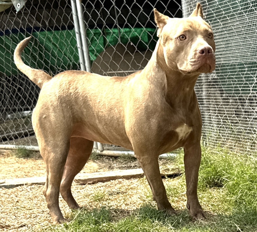 Bonnie - sister to Clyde