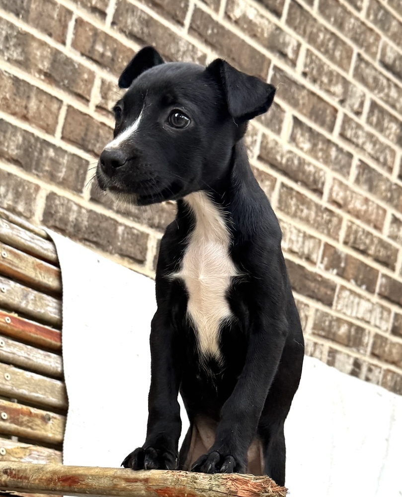 Tilly