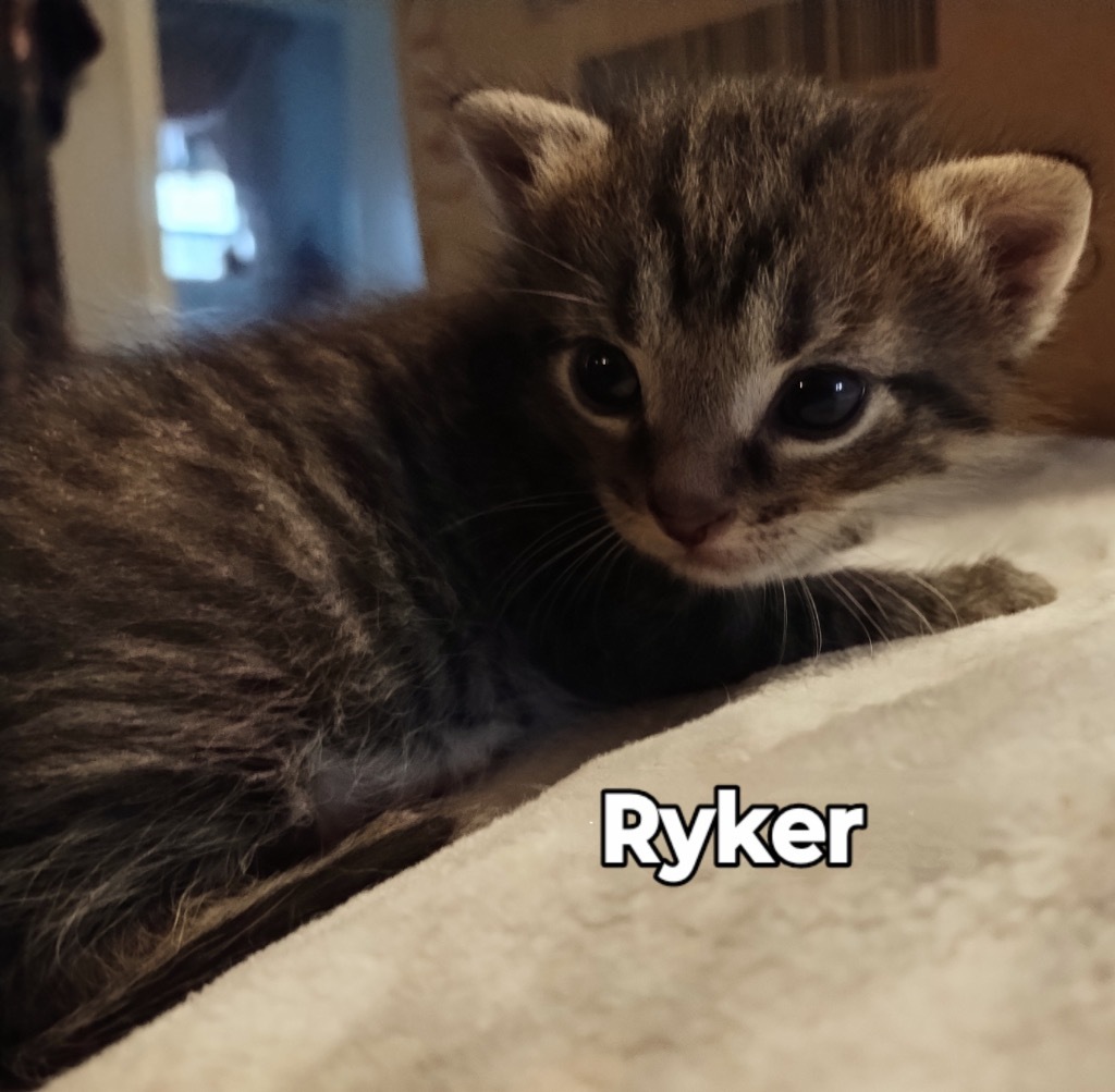 Ryker