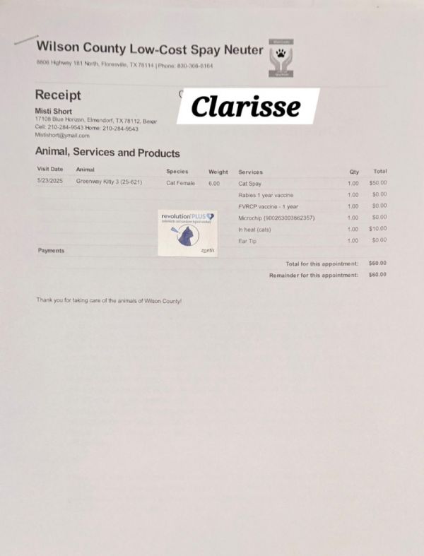 Clarisse thumbnail 2