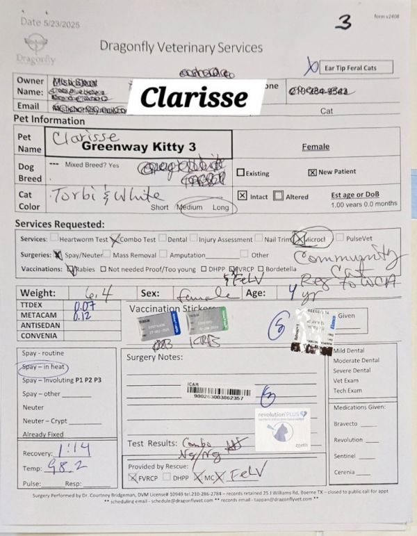 Clarisse thumbnail 3