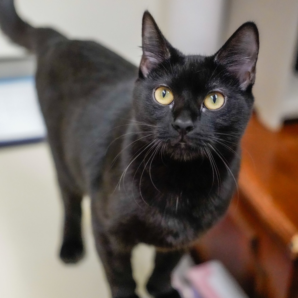 Mizu