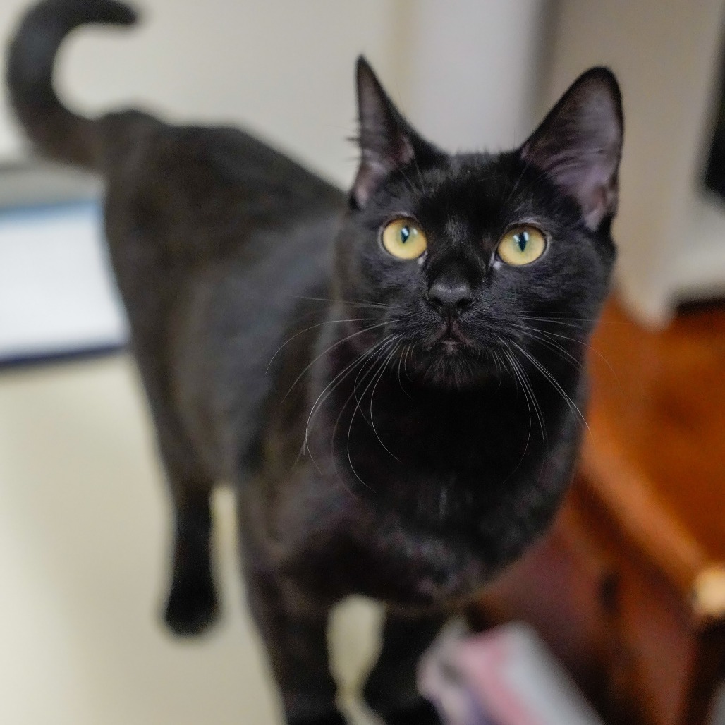 Mizu