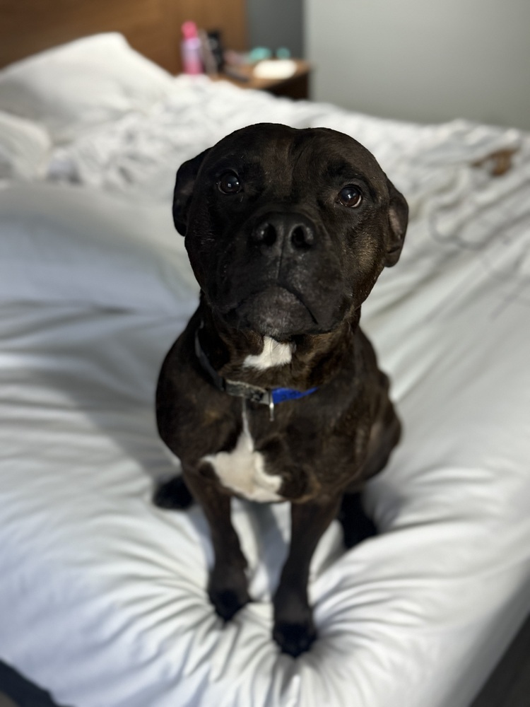 Reggie