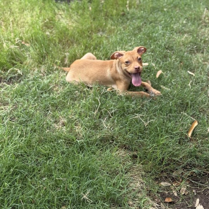 Tabitha 3